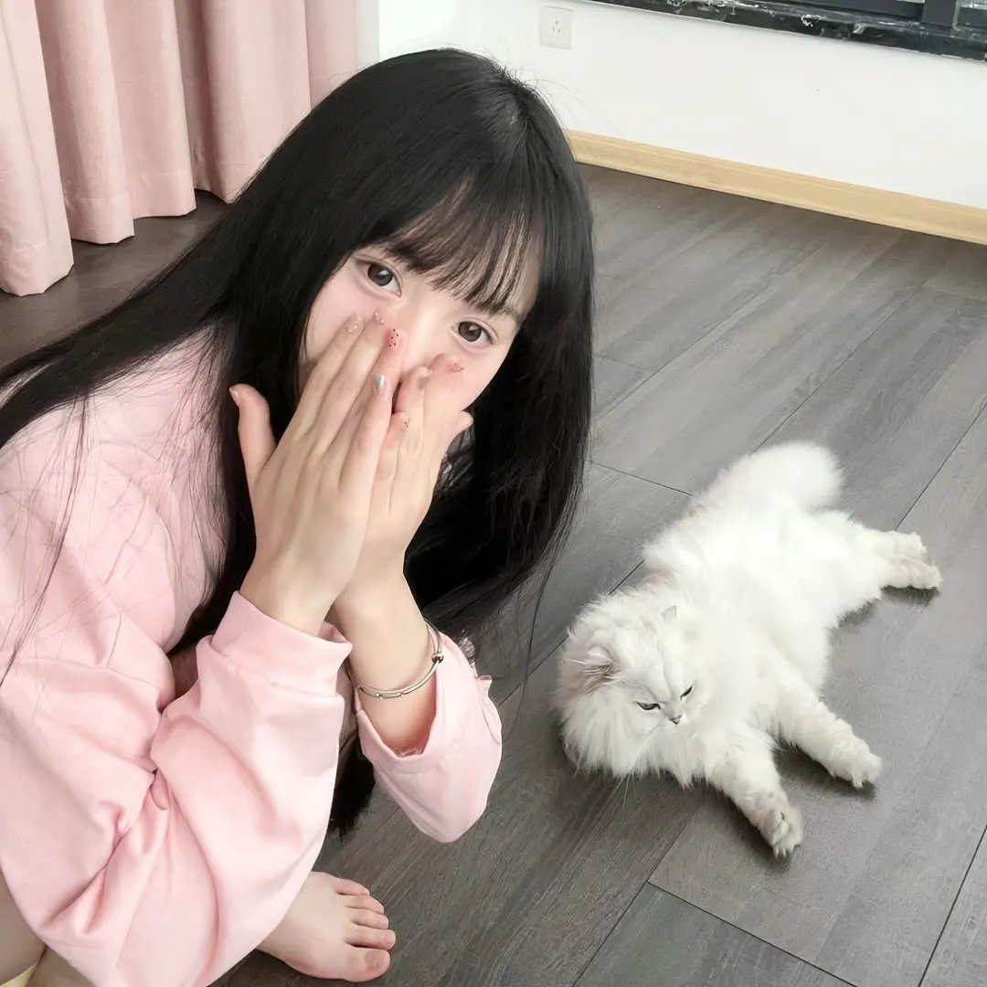 小小北极熊2神秘岛 在线观看
